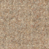 Pugirg Fenice 1203.jpg